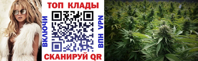 Купить наркотики сайты Канск Псилоцибиновые грибы  МДМА  Бошки Шишки 
