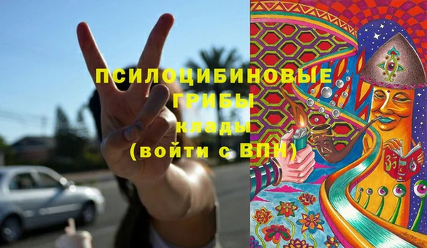 дурь Нефтегорск