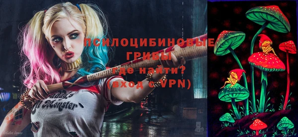 гидропоника Медвежьегорск