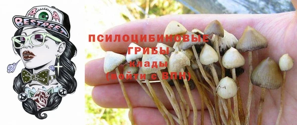 эйфоретик Мегион