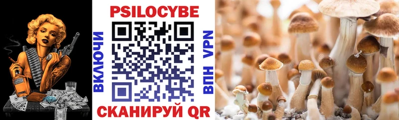 Псилоцибиновые грибы прущие грибы Канск
