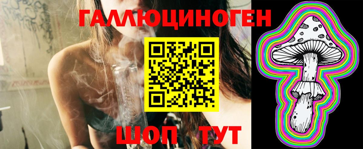 Псилоцибиновые грибы Psilocybine cubensis Канск