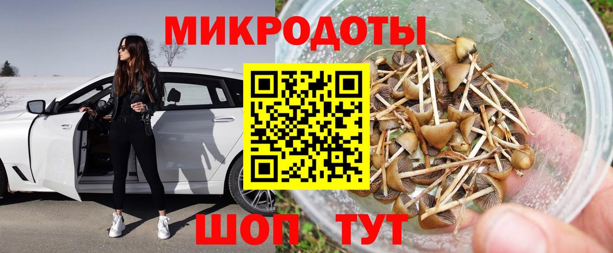 Псилоцибиновые грибы Psilocybine cubensis Канск