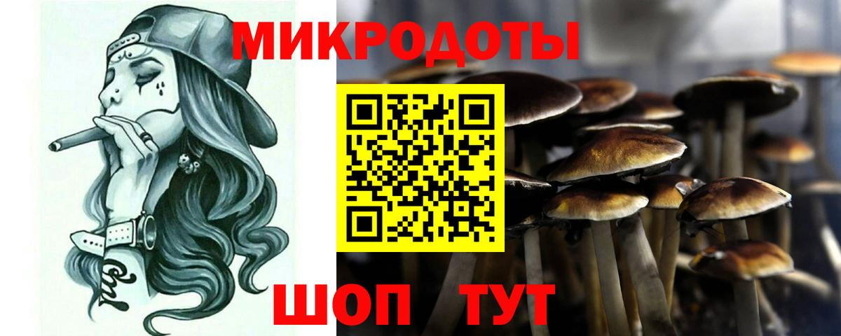 Канск  Галлюциногенные грибы Cubensis  Вход с VPN 