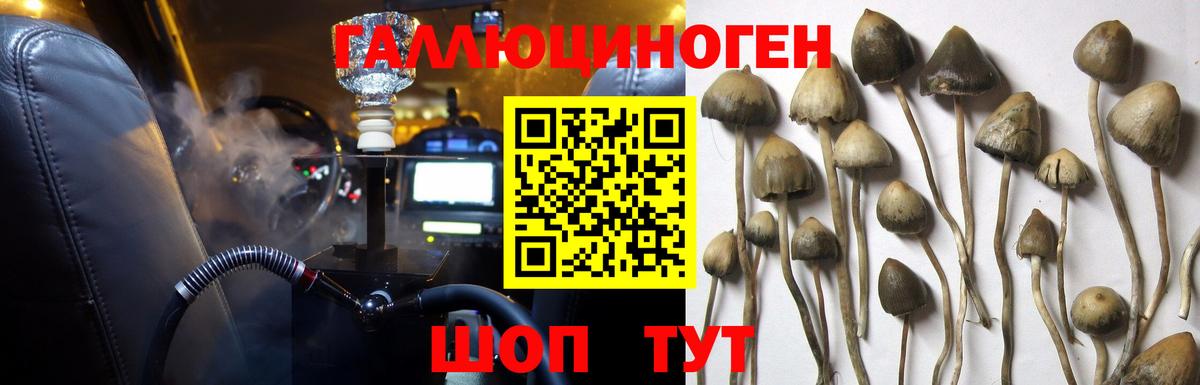 Псилоцибиновые грибы Magic Shrooms  Галлюциногенные грибы прущие грибы  Канск 