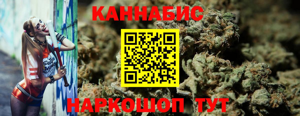 Бошки марихуана Bruce Banner  Канабис гибрид  Шишки марихуана план  Канск 